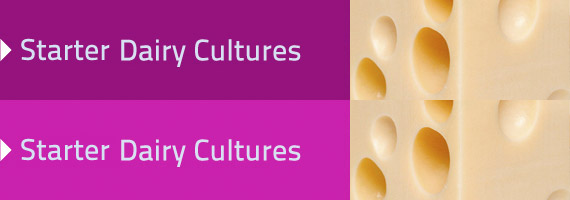 Our Dairy Cultures